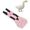 Pet Chicken and Duck Diapers (L) view 1