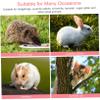 Yardwe Mini Christmas Hat for Hamsters and Small Pets view 2