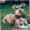 CIYODO Adjustable Decorative Cat Collar with Bow Tie view 4
