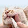 Ungtyb Pet Tooth Cleaner view 2