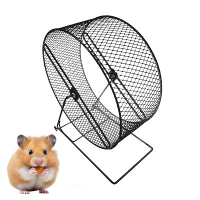 Exercise Wheel for Small Pets | Hamster Training Wheel | Fun Hamster Wheel