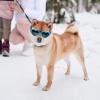 Heart Dog Sunglasses view 2