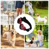 Heart Dog Sunglasses view 4