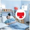 Practical Cotton Incontinence Brief, Red, XL for Light Incontinence view 3