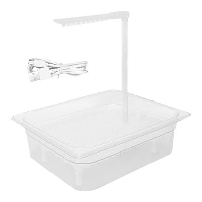 Automatic Bird Bath