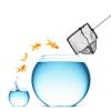Telescopic Aquarium Net view 4