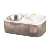 2-in-1 Pet Feeder and Drinking Fountain view 1