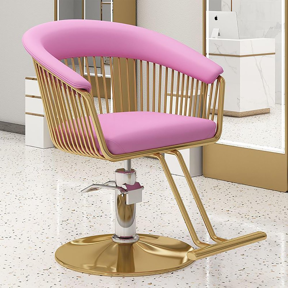 Salon Barber Chair, 360° Swivel, Adjustable Hydraulic Styling Chair