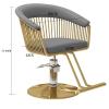 Salon Barber Chair, 360° Swivel, Adjustable Hydraulic Styling Chair view 2