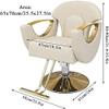 MNBVH Hydraulic Salon Chair, Swivel, Classic Hair Styling Chair for Salon or Home (420 lb) view 2