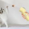 Yominerr Treat Launcher for Pets view 2