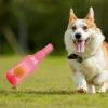 Water Bottle Dog Toy, Bite-Resistant Chew Ball view 2