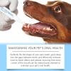 Pet Toothbrush for Dogs view 2