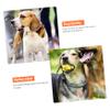VILLFUL 3-Piece Pet ID Paw Print Dog Tag Set view 4