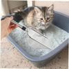HAPINARY Metal Cat Litter Scoop with Sifter view 2