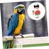 HAPINARY Parrot Diaper with Strawberry Pattern view 4