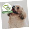BESPORTBLE Retractable Dog Leash for Dogs up to 20 kg, ABS and Nylon, Green view 2