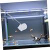 BESPORTBLE Shrimp Catching Net for Aquarium view 4
