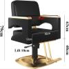 Hydraulic 360° Rotating Salon Styling Chair view 3