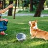 JINGLING Foldable Dog Water Bowl view 2