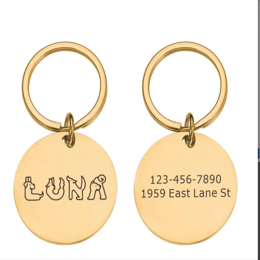 Personalized Gold Steel Pet ID Tag, 30 × 30 mm