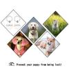 Personalized Gold Steel Pet ID Tag, 30 × 30 mm view 3