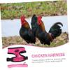 BCOATH Practical Chicken Leash with Stylish Design view 2