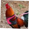 BCOATH Practical Chicken Leash with Stylish Design view 3