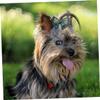ORFOFE 20-Piece Pet Hair Ties view 3