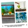 HAPINARY 1-Set Green Fluorite Decorative Stones for Aquariums and Plants view 3