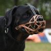 Dog Muzzle for Medium Dogs, Adjustable and Breathable view 3