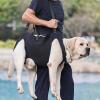 Adjustable Dog Support Harness with Padded Handle view 2