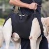 Adjustable Dog Support Harness with Padded Handle view 3
