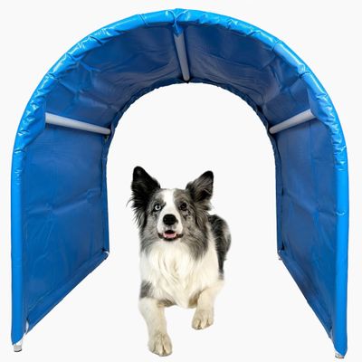 Callieway BOLO-des Alpes Hoopers Tunnel Twin Pack, Bottomless & Stable | 2 x 1 m | Aluminum Frame & UV-Resistant | Dog Agility Training | Blue