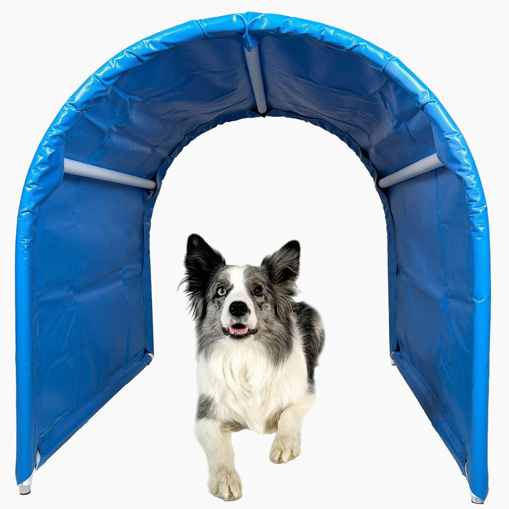 Callieway BOLO-des Alpes Hoopers Tunnel Twin Pack, Bottomless & Stable | 2 x 1 m | Aluminum Frame & UV-Resistant | Dog Agility Training | Blue