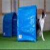 Callieway BOLO-des Alpes Hoopers Tunnel Twin Pack, Bottomless & Stable | 2 x 1 m | Aluminum Frame & UV-Resistant | Dog Agility Training | Blue view 3