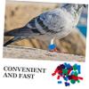 Kisangel Competition Supplies Pigeon Shrink Wrap view 3