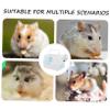 Plastic Hamster Travel Carrier with Clear Visibility, Lightweight and Portable view 4