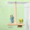 Humkopnl Perch for Medium Birds and Budgerigars view 2