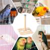 Humkopnl Perch for Medium Birds and Budgerigars view 4