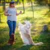 Pet Clicker Trainer for Dog and Cat Training view 2