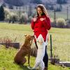 Pet Clicker Trainer for Dog and Cat Training view 3