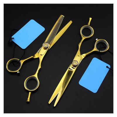 6-Inch Hair Cutting and Thinning Scissors