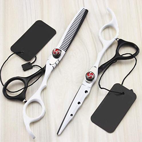 TFYSFSHN 6-Inch Professional Haircutting and Thinning Shear Set