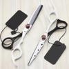 TFYSFSHN 6-Inch Professional Haircutting and Thinning Shear Set view 2