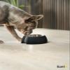 lionto Melamine Pet Bowl with Non-Slip Base, 420 ml Stainless Steel Insert, Black view 2