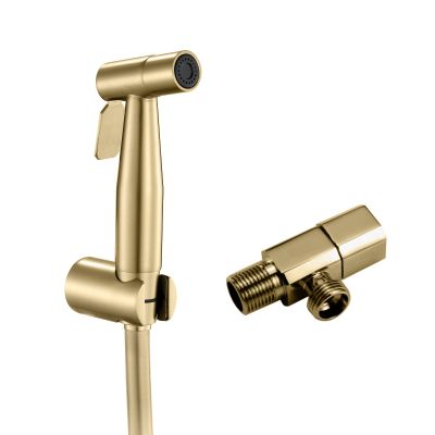CHULKJFX Handheld Bidet Toilet Sprayer with PVC Hose, Brushed Gold
