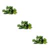 BESPORTBLE 3-Piece Artificial Rattan Vines for Reptile Terrarium Decoration view 1