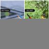 Outdoor Bird Bath with Removable Bowl view 2