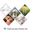 Personalized Pet ID Tag with Halloween Bat Engraving, Silver view 4